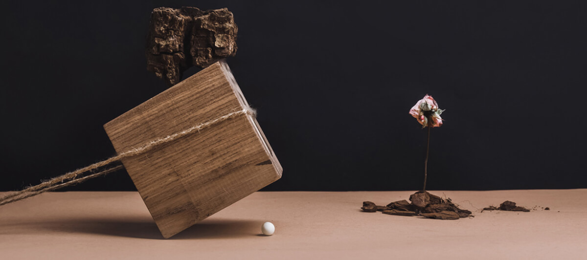Build a Beautiful Blog With Ease image